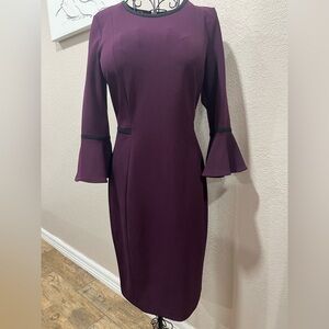 Calvin Klein Plum Long Sleeve Dress